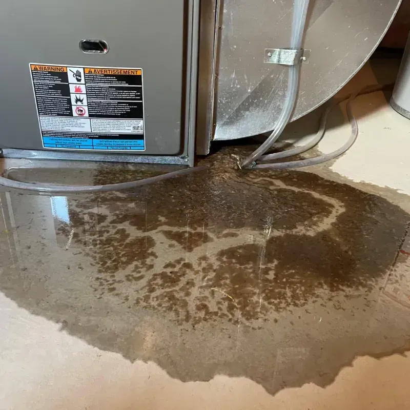 Appliance Leak Cleanup in Tolono, IL